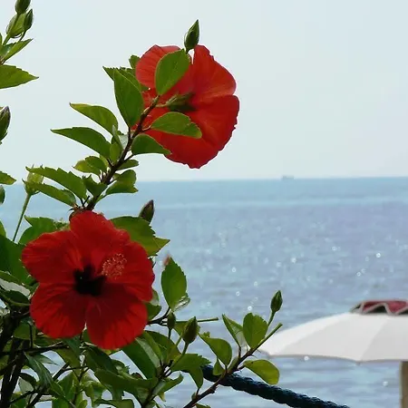 Otel Pisacane Sapri