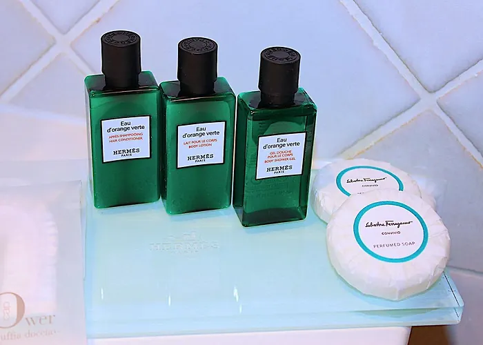 酒店 皮萨卡尼酒店 萨普里