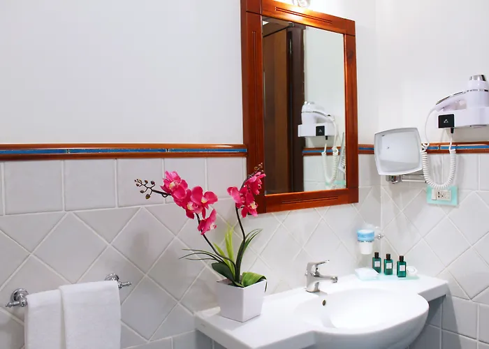 皮萨卡尼酒店 酒店 萨普里