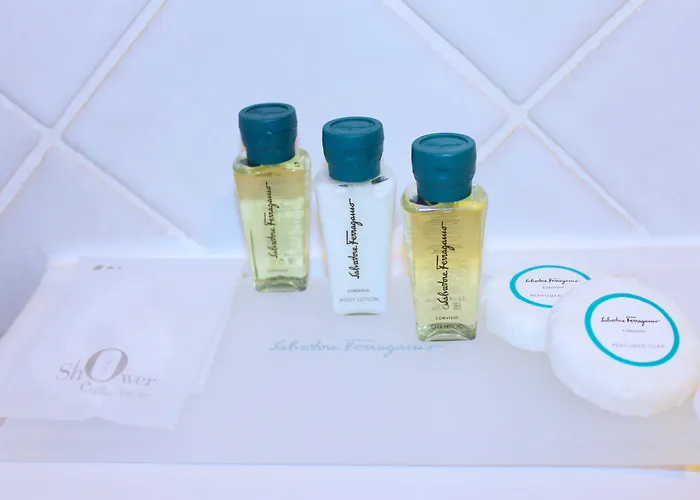 酒店 皮萨卡尼酒店 萨普里