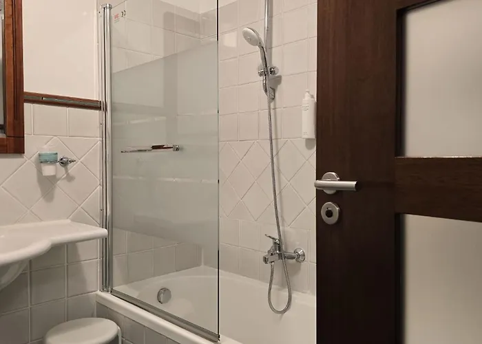 皮萨卡尼酒店 4* 萨普里